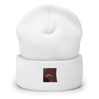 Fox Co PATHFINDERS 42304654  Cuffed Beanie -