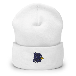 Ashland High School 84461471  Cuffed Beanie -
