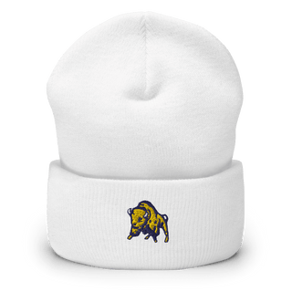 Georgetown-Ridge Farm High School Cheer 38211561  Cuffed Beanie -