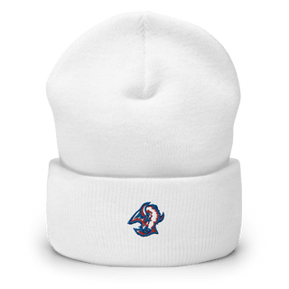Republic Junior High School 61600725  Cuffed Beanie -