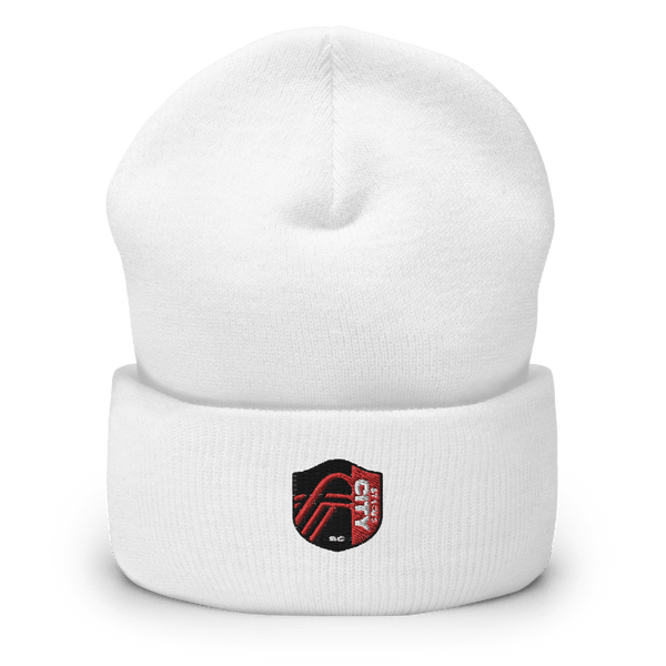 1138th Transportation Co 73397175  Cuffed Beanie -