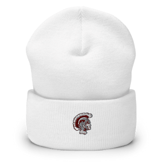 Dougherty Comprehensive High School Basketball 26156700  Cuffed Beanie -