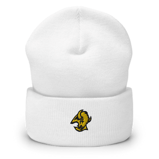 Floyd County High School Basketball 44585591  Cuffed Beanie -
