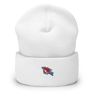 Pender High School Basketball 94245008  Cuffed Beanie -