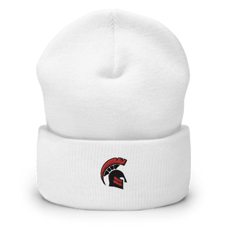 Discovery High School Basketball 24970780  Cuffed Beanie -