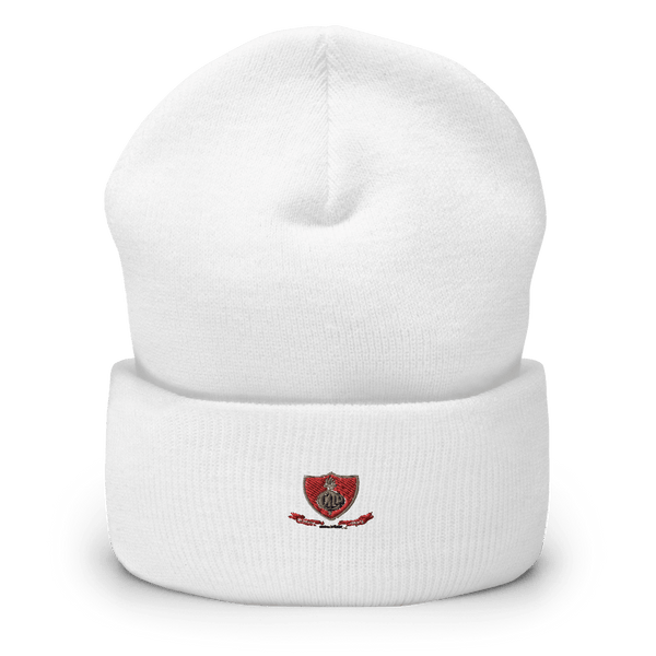 CMLP41 48088874  Cuffed Beanie -
