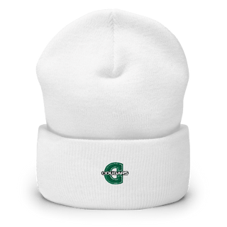 Caze Elementary School 46804104  Cuffed Beanie -