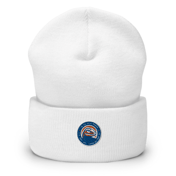 Dr. Ralph H. Baker 21St Century Learning Center 29617930  Cuffed Beanie -