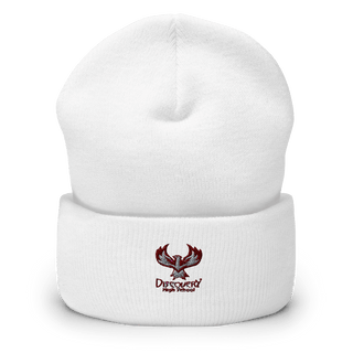 Discovery High School 57440300  Cuffed Beanie -