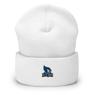 Lewis Angapak Memorial School 56191065  Cuffed Beanie -