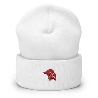 Cedar Springs High School Bowling 4687371  Cuffed Beanie -