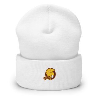 Buckeye Valley High School Swimming 66949438  Cuffed Beanie -