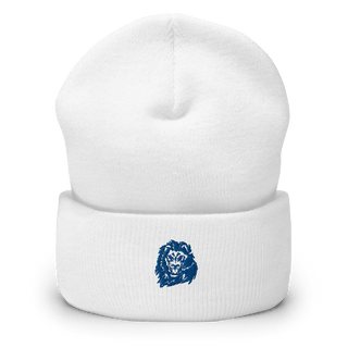Morrill Elementary School 80197754  Cuffed Beanie -