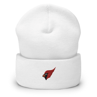 Metamora Township High School Basketball 10386422  Cuffed Beanie -