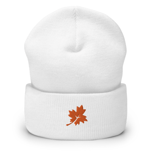 Maple Park Charter School 55526408  Cuffed Beanie -