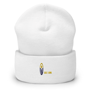 Delaware Valley Classical School 75965882  Cuffed Beanie -
