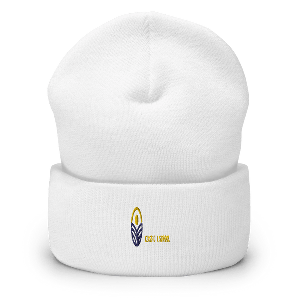 Delaware Valley Classical School 75965882  Cuffed Beanie -