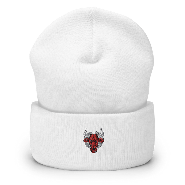 802 OD 21261631  Cuffed Beanie -