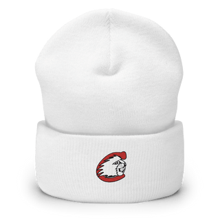 Cumberland Elementary School 35230921  Cuffed Beanie -