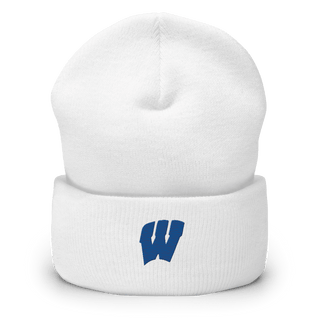 Stambaugh Elementary School 21402892  Cuffed Beanie -