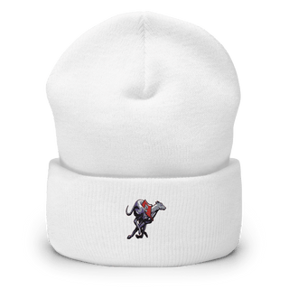 Duluth East High School Softball 5158216  Cuffed Beanie -