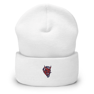 Fyffe High School Softball 6164310  Cuffed Beanie -