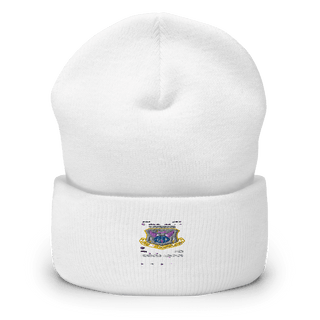 DET 201 OSI 91729133  Cuffed Beanie -