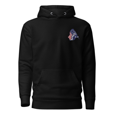 Nathan Hale High School Baseball 31222305  Unisex Hoodie -