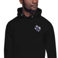 VASA Panther Football 6807670  Unisex Hoodie -