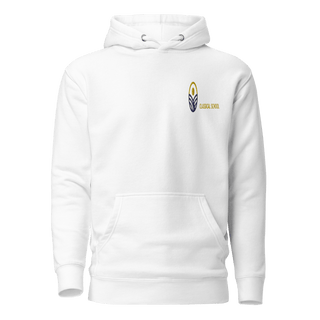 Delaware Valley Classical School 75965882  Unisex Hoodie -