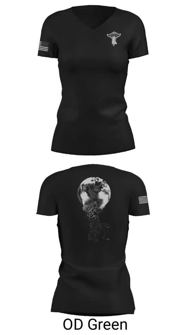 Women's Short Sleeve Vneck Shirt, , Air Force, Teamtime, Team time, sublimation, custom sports apparel, team uniforms, spirit wear, spiritwear, sports uniforms, custom shirts, team store, custom team store, fundraiser sports, apparel fundraiser