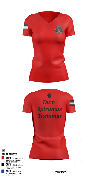 Women's Short Sleeve Vneck Shirt, , National Guard, Teamtime, Team time, sublimation, custom sports apparel, team uniforms, spirit wear, spiritwear, sports uniforms, custom shirts, team store, custom team store, fundraiser sports, apparel fundraiser